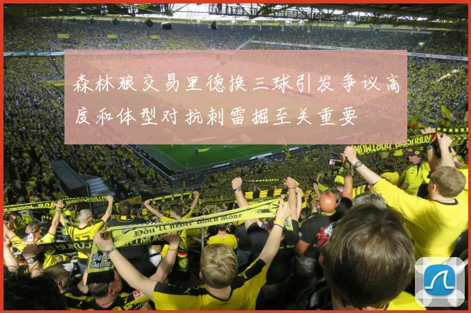 森林狼交易里德换三球引发争议高度和体型对抗刺雷掘至关重要