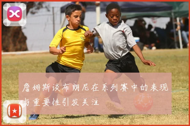 詹姆斯谈布朗尼在系列赛中的表现与重要性引发关注